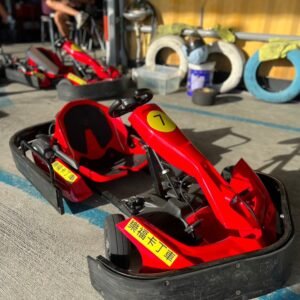 成人大型電動卡丁車<br/>Adult-Sized Electric Go-Kart
