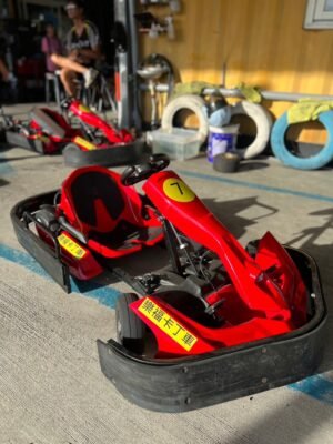 成人大型電動卡丁車<br/>Adult-Sized Electric Go-Kart